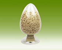 ��Ƭ��B1��