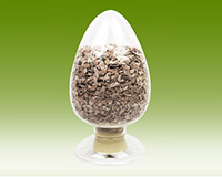 ������Ƭ