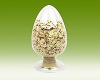 ����Ƭ����_��Ƭ����_�㶫����ʳƷ���޹�˾