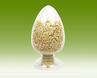 ����Ƭ����_��Ƭ����_�㶫����ʳƷ���޹�˾